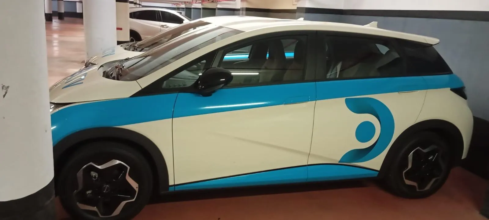 Proyecto Ploteo Vehicular 16