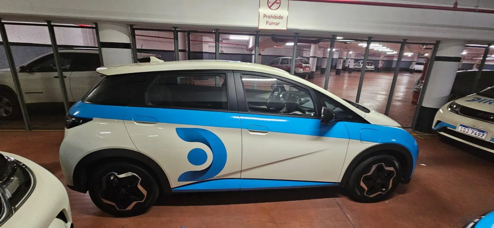 Proyecto Ploteo Vehicular 17