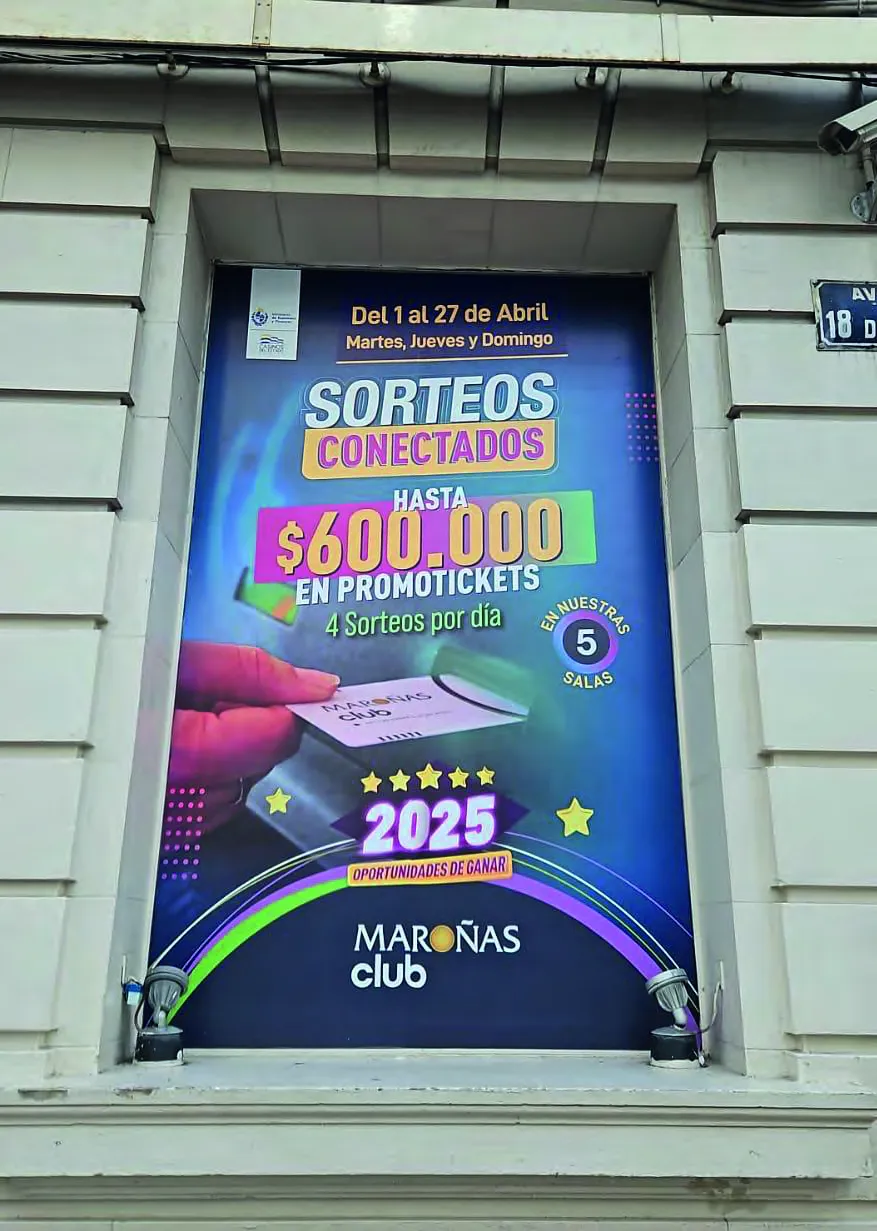 Vinilo Decorativo - Proyecto 8 - ROAR Uruguay